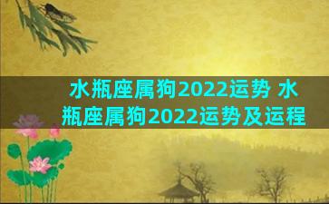 水瓶座属狗2022运势 水瓶座属狗2022运势及运程